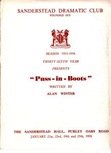 Puss in Boots poster