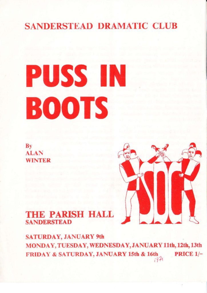 Puss in Boots poster